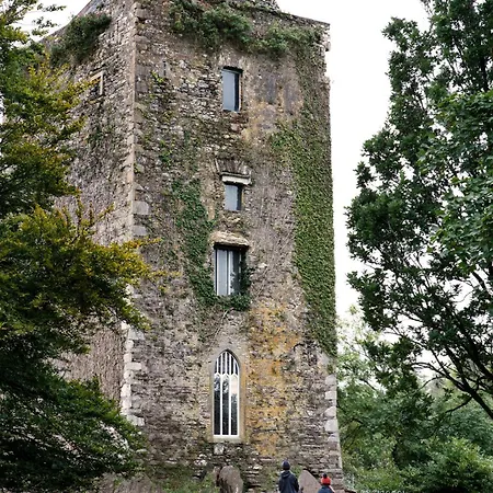 Dripsey Castle Estate